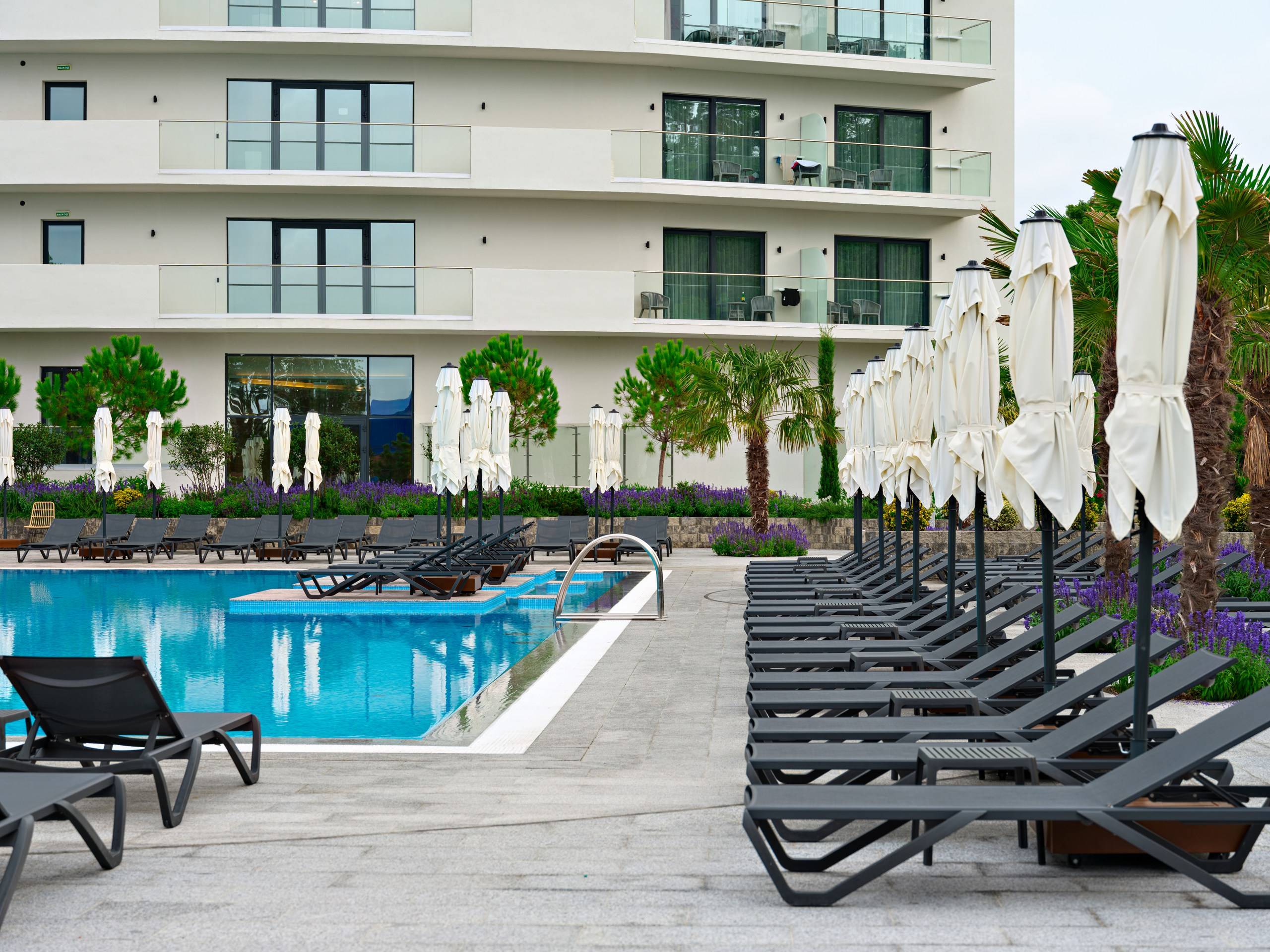 Отель Райморис - официальный сайт. Отдых на черном море. Геленджик. Бетта.