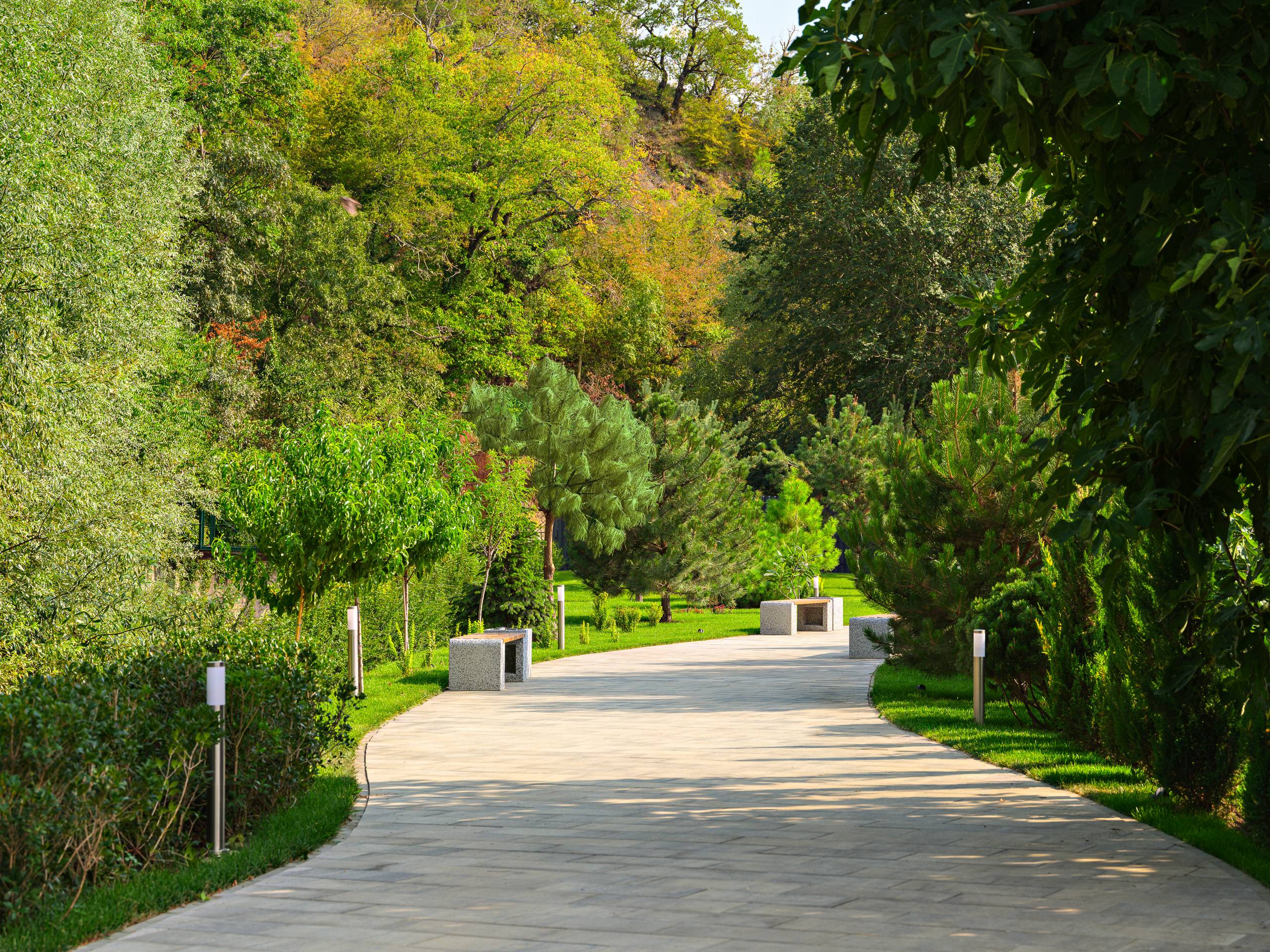 Отель Райморис - официальный сайт. Отдых на черном море. Геленджик. Бетта.